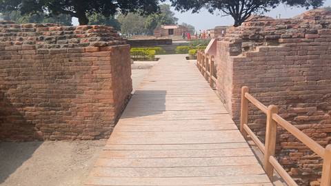 A wooden walkway over ancient brick ruins, surrounded by greenery.
