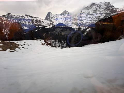 Snowy hillside with trees and sunlight reflecting on the snow.