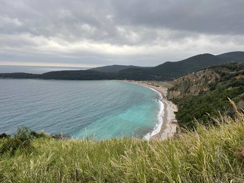 Coastal view with sandy beach and lush green forest.