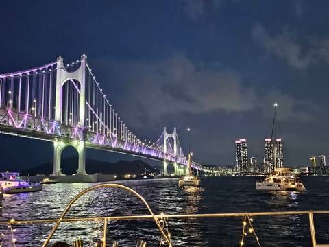 Bridge illuminated at night with city skyline and boats in water.