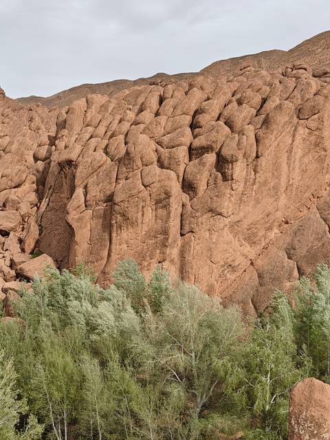 Imposing rock formations with sparse vegetation.