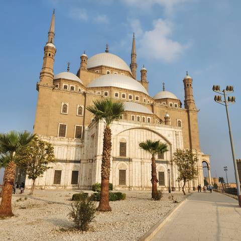 Majestic mosque with palm trees