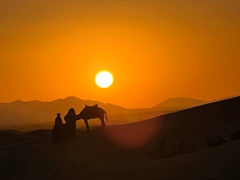 Silhouette of a camel and person at sunset.