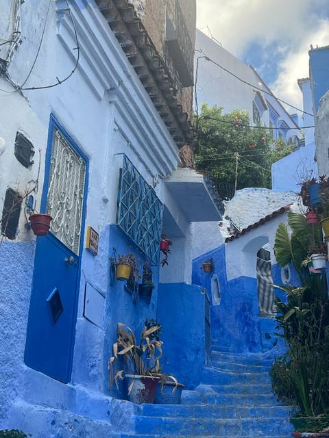 Vibrant blue and white buildings with potted plants.