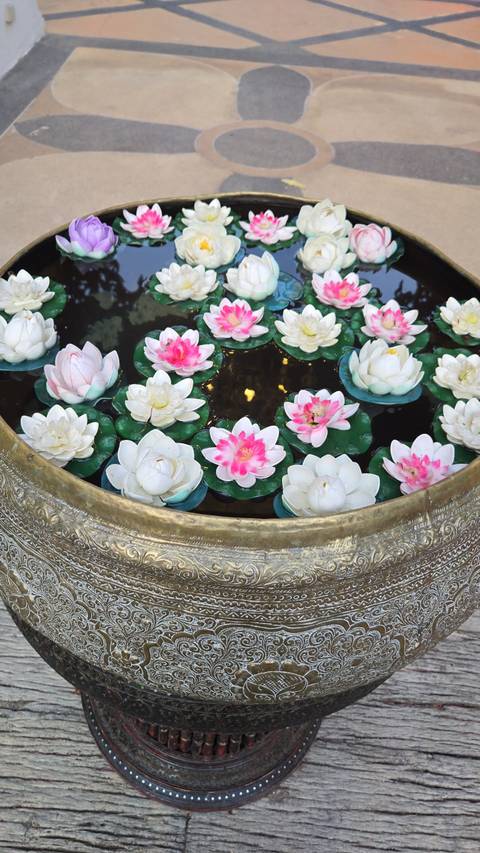 Colorful lotus flowers floating in a decorative bowl.