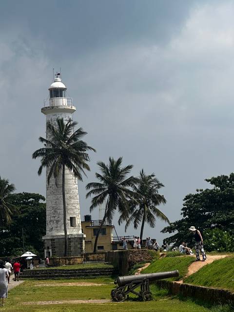 Lighthouse surrounded by palm trees near the coast.