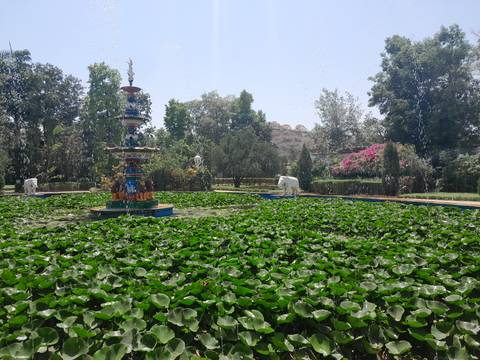 Lush garden with a fountain surrounded by greenery.