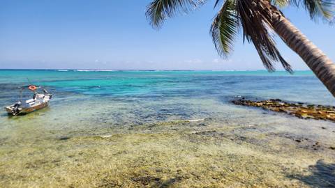 Beautiful scenic view of a beach with a boat and palm trees.