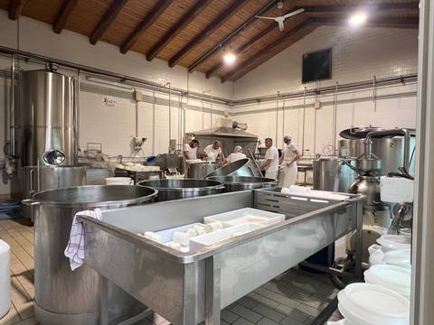A group of people working in a cheese factory with stainless steel vats.