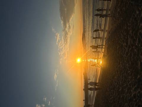 Sunset at a beach with silhouettes of people in water.