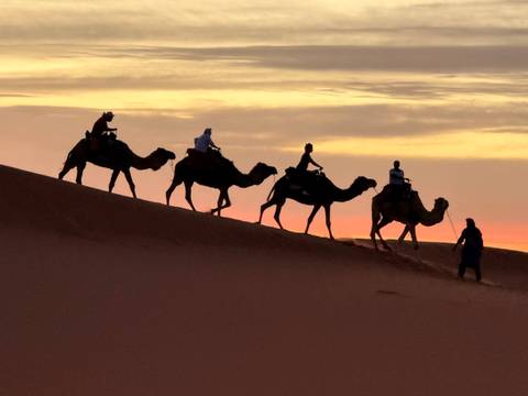 Camel caravan crossing a desert during sunset.