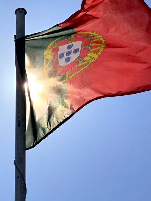 Flag waving in front of the sun.