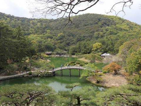 Japanese garden with bridges over a pond.