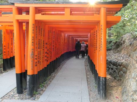 Visitors walk through a tunnel of red Torii gates.