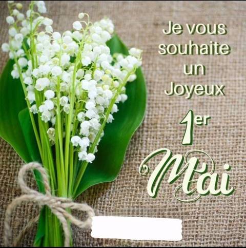 foto de reseña de cliente de Valle y oasis de M'Zab