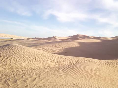 Vast desert landscape with sand dunes under a clear sky.