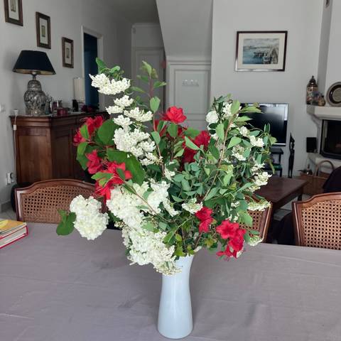 Flowers in a living room setting.