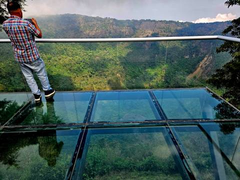 Person standing on a glass walkway over a canyon.