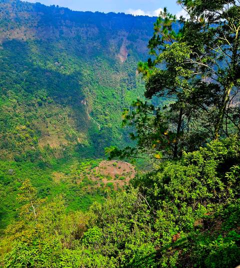 Lush green crater with vegetation.