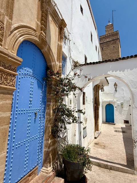 White and blue decorated alleyway with flower pots.
