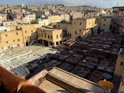 Traditional tanneries with numerous dyeing vats.