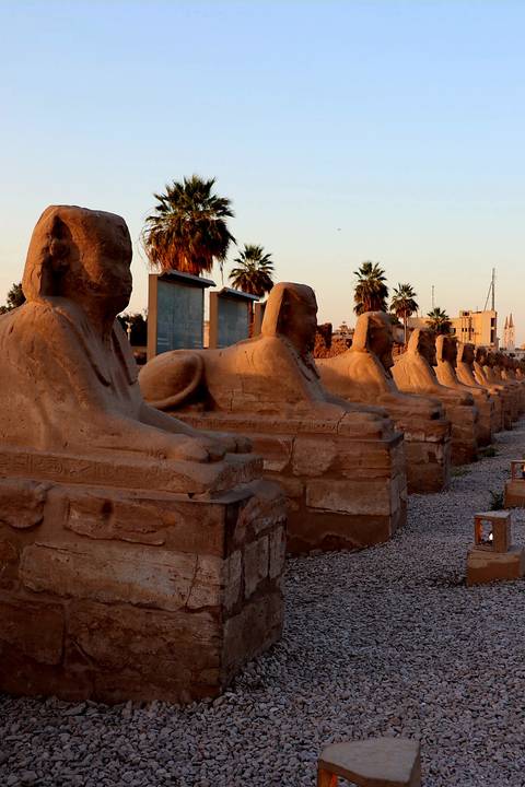 A row of sphinx statues under a setting sun with palm trees in the background.