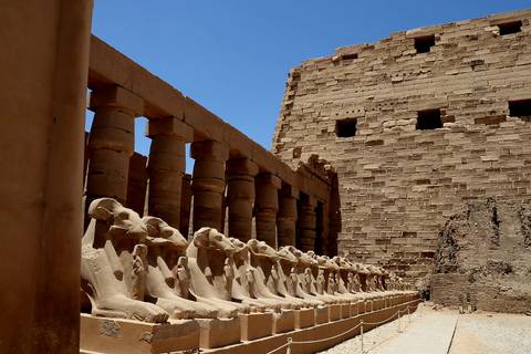 Ram-headed sphinx statues lined alongside a pathway in front of a temple.