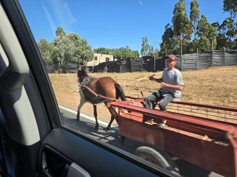 Man driving a horse-drawn cart along the road.