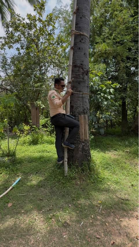 foto de reseña de cliente de Circuito privado de 5 días a Angkor Wat con todos los aspectos destacados de Camboya