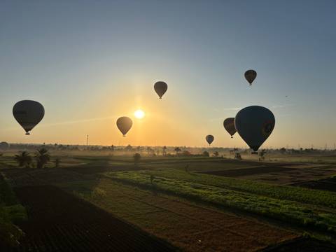 Hot air balloons at sunrise over fields.