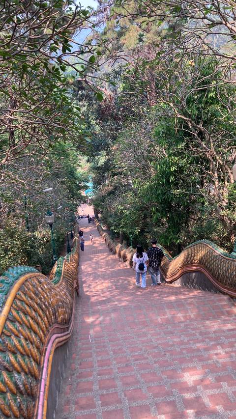 People walking down a long stairway surrounded by trees.