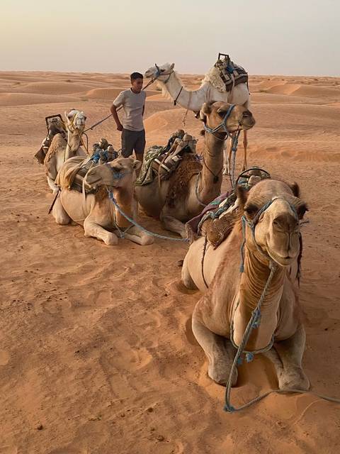 foto de reseña de cliente de El gran circuito de Túnez