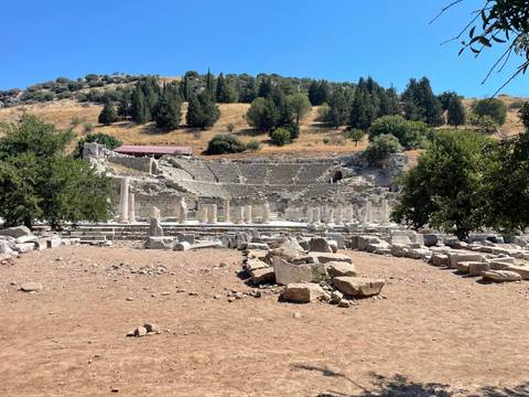 Ancient amphitheater with trees in the background.