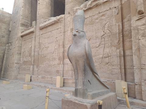 Statue of a falcon in front of hieroglyphs.