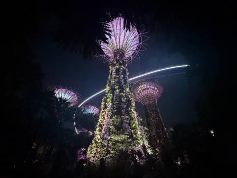 Gardens by the Bay lit up at night.