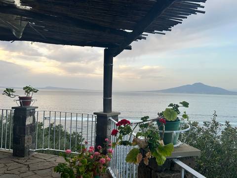 Scenic view of the sea with a terrace and flowers.