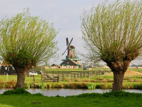 Windmill surrounded by greenery with clear sky.