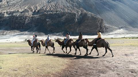 Group of people riding camels in front of a rocky landscape.