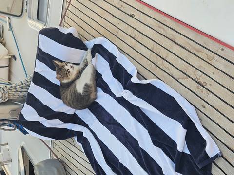 A cat lying on a striped towel on a boat deck.