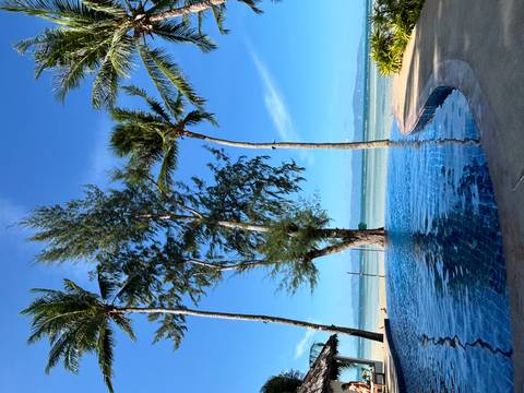 Palm trees by a tranquil infinity pool overlooking the ocean.
