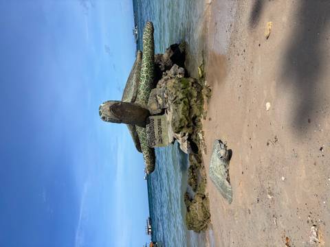 Beachside sculpture of a sea turtle with water in the backdrop.