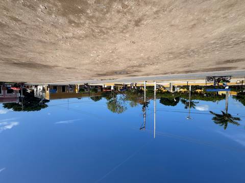 A public square with people, surrounded by buildings and palm trees.