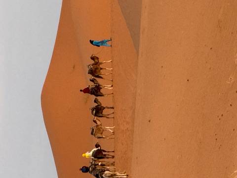 Camel caravan traveling across the desert.