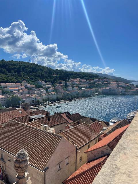 Panoramic view of a coastal town with sunlit water.