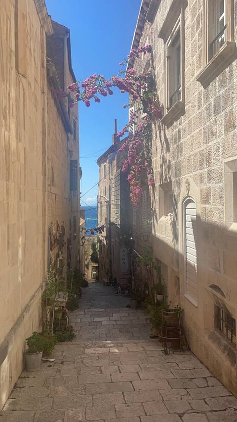 Narrow cobblestone street with flowers and ocean view.