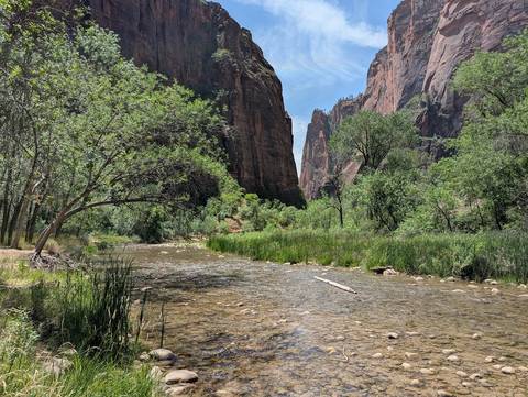 Scenic river flowing through a narrow canyon with trees.