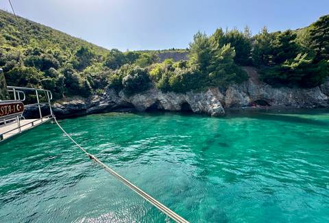 Clear turquoise water near rocky shore with trees.