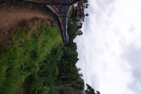 Train moving through a green landscape.
