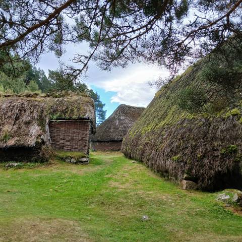 Thatched roof buildings with moss lining the tops.