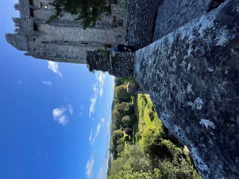 View of a stone castle with gardens.